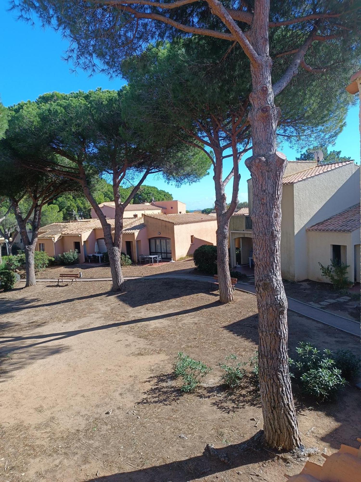 Studio Renove Dans Residence De Vacances Avec Grande Piscine Chauffee, Parking Et Terrasse Agde Exteriér fotografie